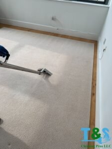 carpet cleaning service by t&s cleaning pros